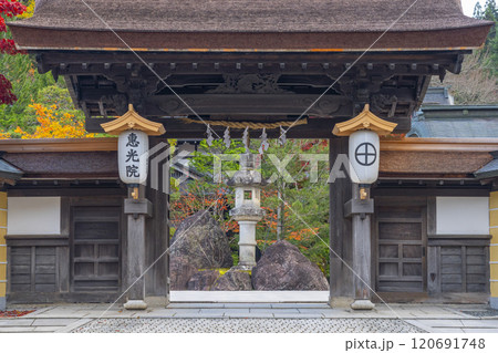高野山宿坊　紅葉に包まれた恵光院 120691748