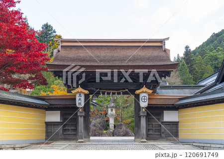 高野山宿坊　紅葉に包まれた恵光院 120691749