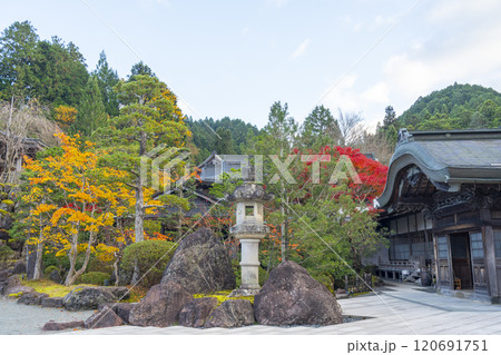 高野山宿坊　紅葉に包まれた恵光院 120691751
