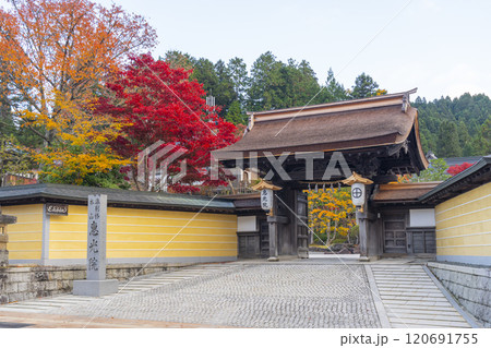 高野山宿坊　紅葉に包まれた恵光院 120691755