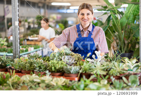 Adult woman saleswoman holding pots of succulents Adult woman saleswoman holding pots of succulents 120691999