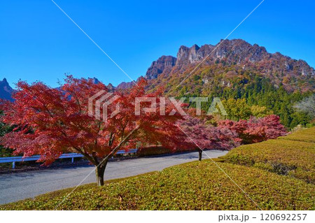 秋の群馬県富岡市の妙義ビジターセンター付近から北西側の妙義山(白雲山,相馬岳など)を見る 120692257