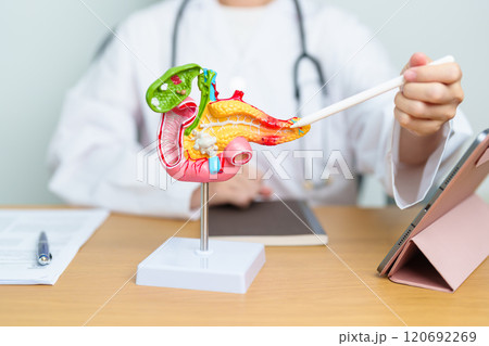 Doctor with human Pancreatitis anatomy model with Pancreas, Gallbladder, Bile Duct, Duodenum, Small intestine and tablet. Pancreatic cancer, acute pancreatitis and Digestive system 120692269