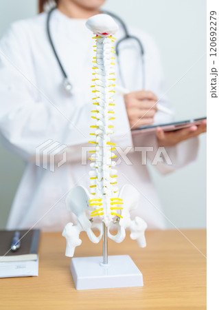 Doctor with human Spine anatomy model. Spinal Cord Disorder and disease, Back pain, Lumbar, Sacral pelvis, Cervical neck, Thoracic, Coccyx, Orthopedist, chiropractic, Office Syndrome and health Doctor with human Spine anatomy model. Spinal Cord Disorder and disease, Back pain, Lumbar, Sacral pelvis, Cervical neck, Thoracic, Coccyx, Orthopedist, chiropractic, Office Syndrome and health 120692279