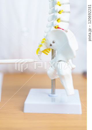 Doctor with human Spine anatomy model. Spinal Cord Disorder and disease, Back pain, Lumbar, Sacral pelvis, Cervical neck, Thoracic, Coccyx, Orthopedist, chiropractic, Office Syndrome and health Doctor with human Spine anatomy model. Spinal Cord Disorder and disease, Back pain, Lumbar, Sacral pelvis, Cervical neck, Thoracic, Coccyx, Orthopedist, chiropractic, Office Syndrome and health 120692281
