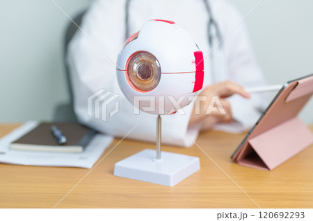 Doctor with human Eye anatomy model with magnifying glass. Eye disease, Refractive Errors, Age Related Macular Degeneration, Cataract, Diabetic Retinopathy, Glaucoma, Amblyopia, Strabismus and Health Doctor with human Eye anatomy model with magnifying glass. Eye disease, Refractive Errors, Age Related Macular Degeneration, Cataract, Diabetic Retinopathy, Glaucoma, Amblyopia, Strabismus and Health 120692293