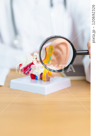 Doctor with human Ear anatomy model with magnifying glass. Ear disease, Atresia, Otitis Media, Pertorated Eardrum, Meniere syndrome, otolaryngologist, Ageing Hearing Loss, Schwannoma and Health 120692326