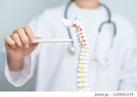 Doctor with human Spine anatomy model. Spinal Cord Disorder and disease, Back pain, Lumbar, Sacral pelvis, Cervical neck, Thoracic, Coccyx, Orthopedist, chiropractic, Office Syndrome and health Doctor with human Spine anatomy model. Spinal Cord Disorder and disease, Back pain, Lumbar, Sacral pelvis, Cervical neck, Thoracic, Coccyx, Orthopedist, chiropractic, Office Syndrome and health 120692334