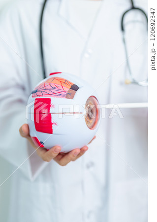 Doctor with human Eye anatomy model with magnifying glass. Eye disease, Refractive Errors, Age Related Macular Degeneration, Cataract, Diabetic Retinopathy, Glaucoma, Amblyopia, Strabismus and Health Doctor with human Eye anatomy model with magnifying glass. Eye disease, Refractive Errors, Age Related Macular Degeneration, Cataract, Diabetic Retinopathy, Glaucoma, Amblyopia, Strabismus and Health 120692347