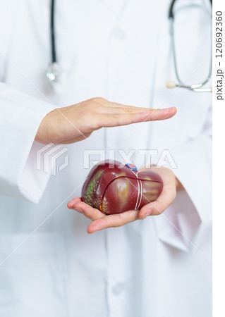 Doctor with human Liver anatomy model. Liver cancer and Tumor, Jaundice, Viral Hepatitis A, B, C, D, E, Cirrhosis, Failure, Enlarged, Hepatic Encephalopathy, Ascites Fluid in Belly and health concept Doctor with human Liver anatomy model. Liver cancer and Tumor, Jaundice, Viral Hepatitis A, B, C, D, E, Cirrhosis, Failure, Enlarged, Hepatic Encephalopathy, Ascites Fluid in Belly and health concept 120692360