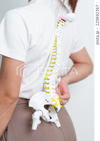 woman with human Spine anatomy model. Spinal Cord Disorder and disease, Back pain, Lumbar, Sacral pelvis, Cervical neck, Thoracic, Coccyx, Orthopedist, chiropractic, Office Syndrome and health woman with human Spine anatomy model. Spinal Cord Disorder and disease, Back pain, Lumbar, Sacral pelvis, Cervical neck, Thoracic, Coccyx, Orthopedist, chiropractic, Office Syndrome and health 120692367