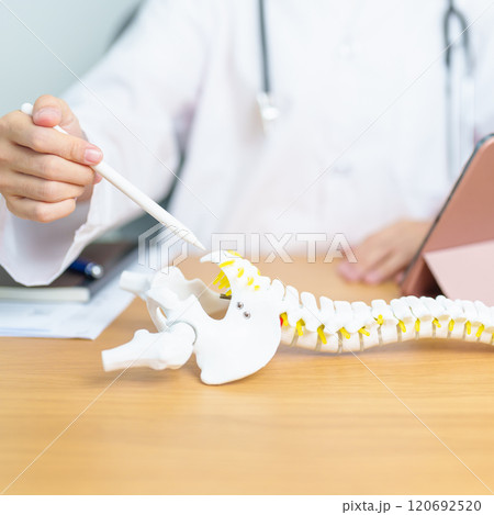 Doctor with human Spine anatomy model. Spinal Cord Disorder and disease, Back pain, Lumbar, Sacral pelvis, Cervical neck, Thoracic, Coccyx, Orthopedist, chiropractic, Office Syndrome and health Doctor with human Spine anatomy model. Spinal Cord Disorder and disease, Back pain, Lumbar, Sacral pelvis, Cervical neck, Thoracic, Coccyx, Orthopedist, chiropractic, Office Syndrome and health 120692520