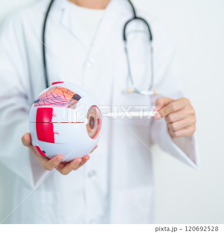 Doctor with human Eye anatomy model with magnifying glass. Eye disease, Refractive Errors, Age Related Macular Degeneration, Cataract, Diabetic Retinopathy, Glaucoma, Amblyopia, Strabismus and Health Doctor with human Eye anatomy model with magnifying glass. Eye disease, Refractive Errors, Age Related Macular Degeneration, Cataract, Diabetic Retinopathy, Glaucoma, Amblyopia, Strabismus and Health 120692528
