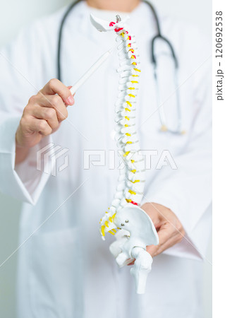 Doctor with human Spine anatomy model. Spinal Cord Disorder and disease, Back pain, Lumbar, Sacral pelvis, Cervical neck, Thoracic, Coccyx, Orthopedist, chiropractic, Office Syndrome and health Doctor with human Spine anatomy model. Spinal Cord Disorder and disease, Back pain, Lumbar, Sacral pelvis, Cervical neck, Thoracic, Coccyx, Orthopedist, chiropractic, Office Syndrome and health 120692538