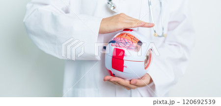 Doctor with human Eye anatomy model with magnifying glass. Eye disease, Refractive Errors, Age Related Macular Degeneration, Cataract, Diabetic Retinopathy, Glaucoma, Amblyopia, Strabismus and Health Doctor with human Eye anatomy model with magnifying glass. Eye disease, Refractive Errors, Age Related Macular Degeneration, Cataract, Diabetic Retinopathy, Glaucoma, Amblyopia, Strabismus and Health 120692539