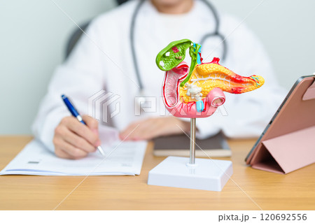 Doctor with human Pancreatitis anatomy model with Pancreas, Gallbladder, Bile Duct, Duodenum, Small intestine and tablet. Pancreatic cancer, acute pancreatitis and Digestive system 120692556