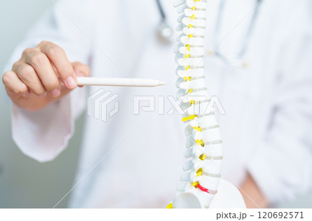 Doctor with human Spine anatomy model. Spinal Cord Disorder and disease, Back pain, Lumbar, Sacral pelvis, Cervical neck, Thoracic, Coccyx, Orthopedist, chiropractic, Office Syndrome and health Doctor with human Spine anatomy model. Spinal Cord Disorder and disease, Back pain, Lumbar, Sacral pelvis, Cervical neck, Thoracic, Coccyx, Orthopedist, chiropractic, Office Syndrome and health 120692571