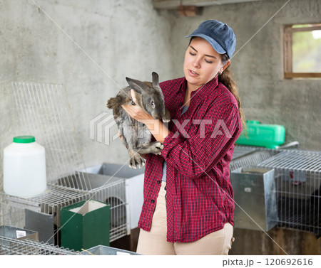 Young woman with a rabbit in her hands Young woman with a rabbit in her hands 120692616