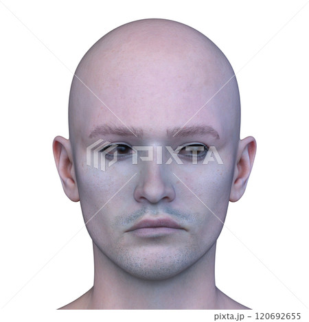 男性ヴァンパイアの顔クローズアップ 120692655