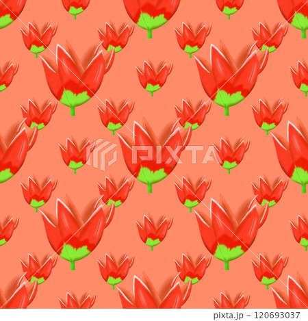 seamless pattern with red poppies 120693037