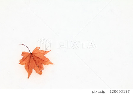 落ち葉のフレーム　雪の上の落葉 120693157