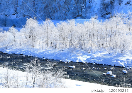 松川の霧氷 120693255