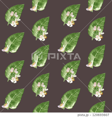 Delicate orange fruit flowers and leafs, watercolor seamless half drop pattern on dark taupe. Hand-painted high quality art is perfect for textile, wrapping paper, packaging, home decor, prints Delicate orange fruit flowers and leafs, watercolor seamless half drop pattern on dark taupe. Hand-painted high quality art is perfect for textile, wrapping paper, packaging, home decor, prints 120693607