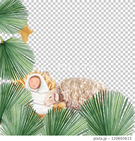 Wooden manger with baby Jesus, sheep looking at him palm leaves watercolor card isolated on white. Hand painted perfect for cards, stickers, celebration of true Christmas. Christian tradition clipart Wooden manger with baby Jesus, sheep looking at him palm leaves watercolor card isolated on white. Hand painted perfect for cards, stickers, celebration of true Christmas. Christian tradition clipart 120693613