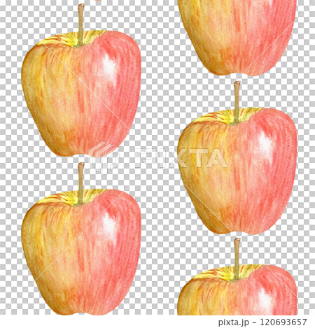 A red-yellow apple watercolor half drop seamless pattern isolated on white. Hand-painted art perfect for culinary designs, prints, packages, juice, harvest themed decor, fruit ads, wrapping paper 120693657