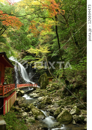 犬鳴山(清滝堂と行者の滝)  【大阪府泉佐野市】 120694473