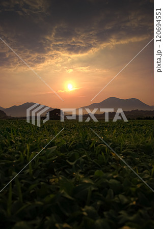 ＜五島市岐宿町魚津ケ崎公園＞朝霧と日の出 120694551