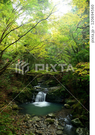 塔の滝(犬鳴山渓谷)　【大阪府泉佐野市】 120694560