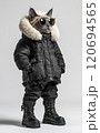ダウンジャケットを着てサングラスをかけたシャム猫 120694565
