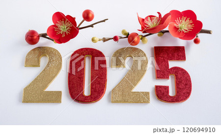 2025年梅の花と和紙の文字 120694910