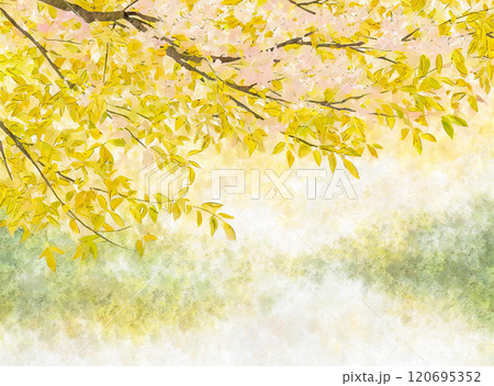 水彩の綺麗な葉桜の風景イメージ画像 120695352
