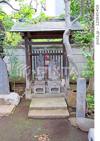 光照寺(調布) 光照寺(調布) 120695408
