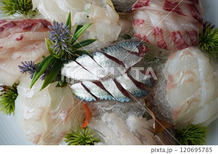 Fresh mackerel sashimi with a silvery sheen 120695785