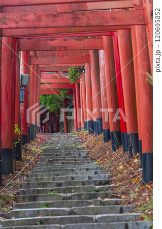 秋の高野山　清高稲荷神社　参道 120695852