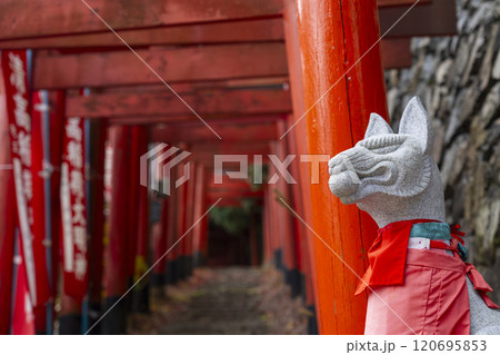 秋の高野山　清高稲荷神社　参道 120695853