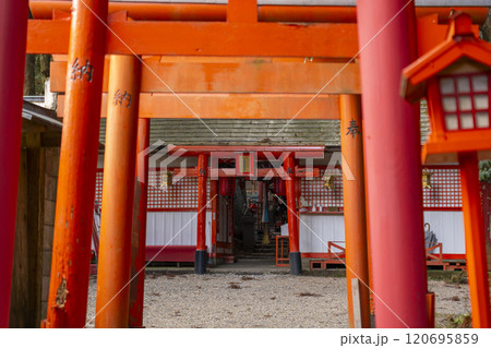 秋の高野山　清高稲荷神社　本殿 120695859