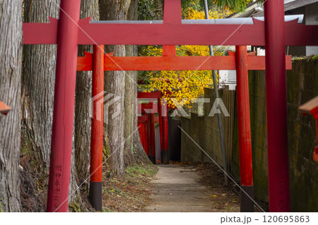 秋の高野山 清高稲荷神社 朱鳥居 秋の高野山 清高稲荷神社 朱鳥居 120695863