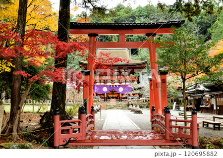 丹生都比売神社(鳥居) 【和歌山県伊都郡かつらぎ町】 丹生都比売神社(鳥居) 【和歌山県伊都郡かつらぎ町】 120695882