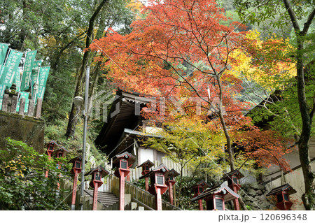 犬鳴山七宝滝寺(本堂)　【大阪府泉佐野市】 120696348