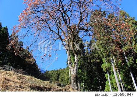 荒船風穴から見える冬の風景 120696947