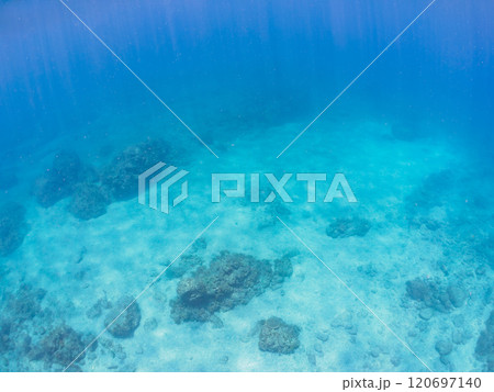 透明度の良い美しい白い砂地の水底。 静岡県伊豆半島賀茂郡南伊豆町中木ヒリゾ浜2024年 透明度の良い美しい白い砂地の水底。 静岡県伊豆半島賀茂郡南伊豆町中木ヒリゾ浜2024年 120697140