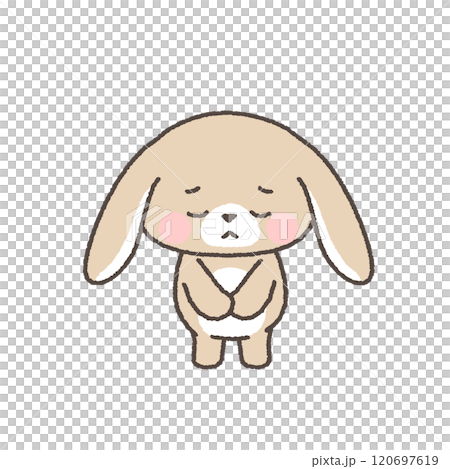 一隻垂耳兔子鞠躬道歉 120697619