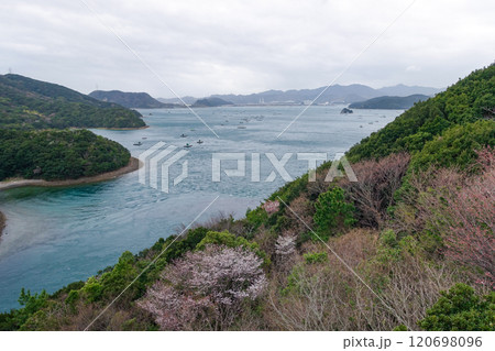 鳴門のイカダ釣り(徳島県鳴門市) 鳴門のイカダ釣り(徳島県鳴門市) 120698096