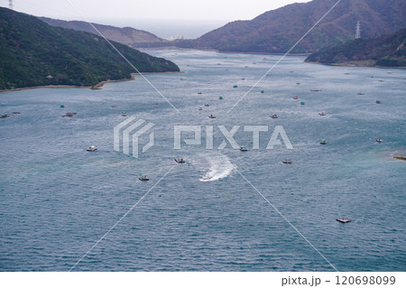 鳴門のイカダ釣り(徳島県鳴門市) 鳴門のイカダ釣り(徳島県鳴門市) 120698099