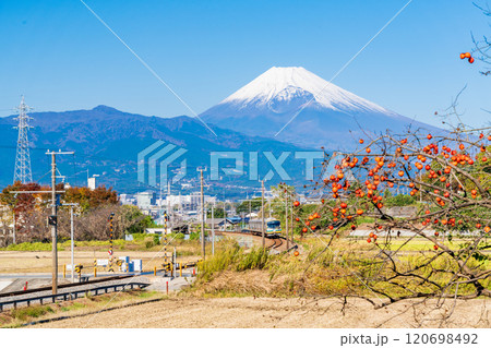 【静岡県】残り柿ある田園地帯を走る伊豆箱根鉄道電車、後方に富士山 【静岡県】残り柿ある田園地帯を走る伊豆箱根鉄道電車、後方に富士山 120698492