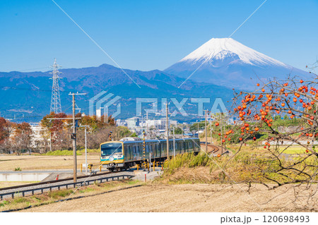 【静岡県】残り柿ある田園地帯を走る伊豆箱根鉄道電車、後方に富士山 120698493